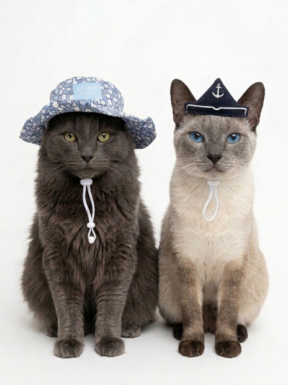 Draper James Pet Hats, Sailor Hat + Blue Floral Bucket Hat for Cat or Dog